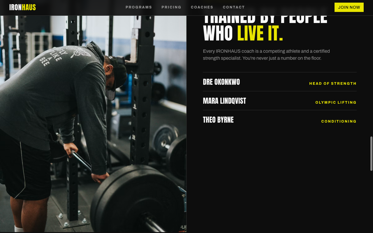 Preview of the IRONHAUS landing page